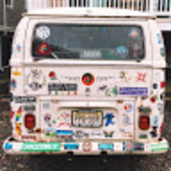 Meet your Posher, Maddy - Picture 1 of 1